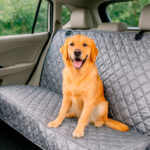 Protector de silla de carro trasero gris