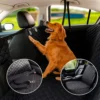 Combo Premium Impermeable Negro para Mascotas Casa LiLe