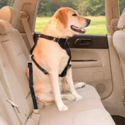 Correa ajustable para cintur n de carro Negro Casa LiLe