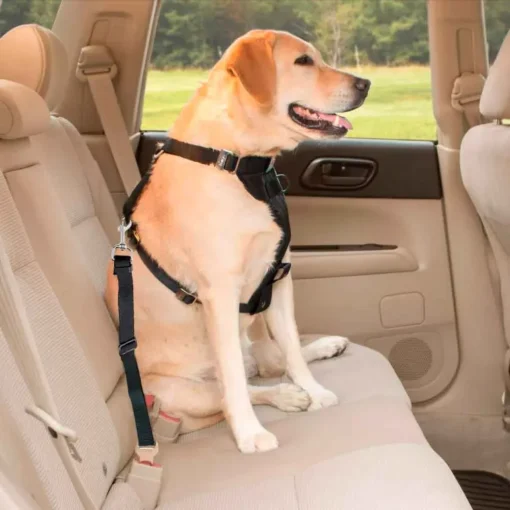 Correa ajustable para cintur n de carro Negro Casa LiLe