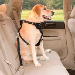 Alternative view of Correa ajustable para cinturón de carro