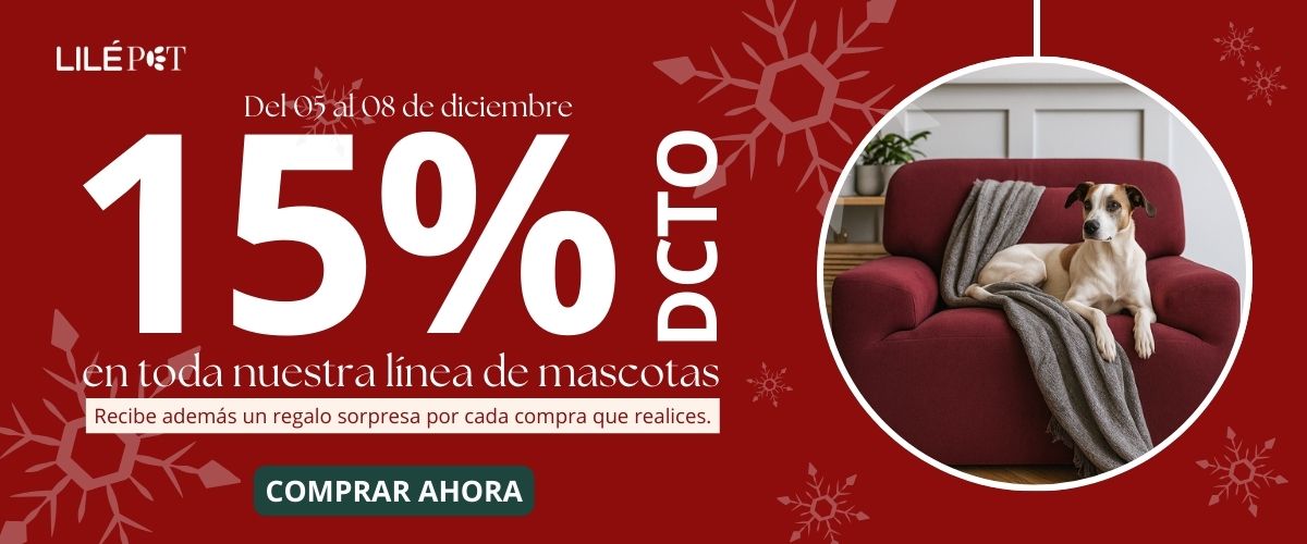 Promo del 05 al 08 dic