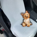 Protector de silla de carro delantero beige