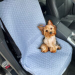 Protector de silla de carro delantero gris claro