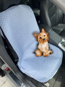 Protector de silla de carro delantero gris claro