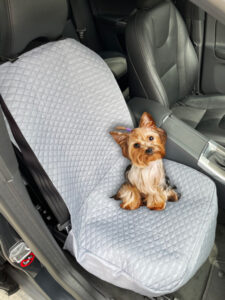 Protector de silla de carro delantero gris