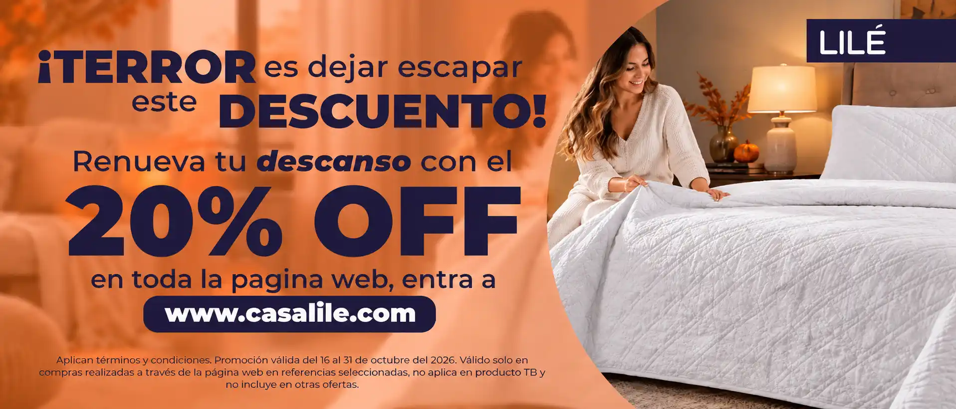 banner promocional descuentos lile