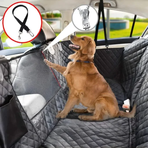 Combo Premium Impermeable Negro para Mascotas Casa LiLe