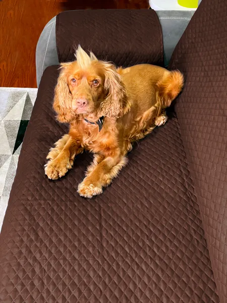 Protector de sof caf /beige doble faz Casa LiLe