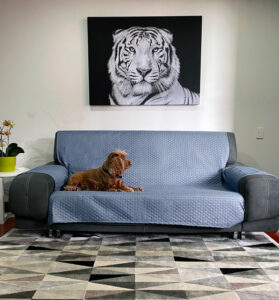 Protector de sofá gris/azul claro doble faz