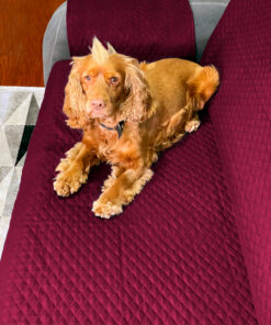 Protector sofá 4 Puestos