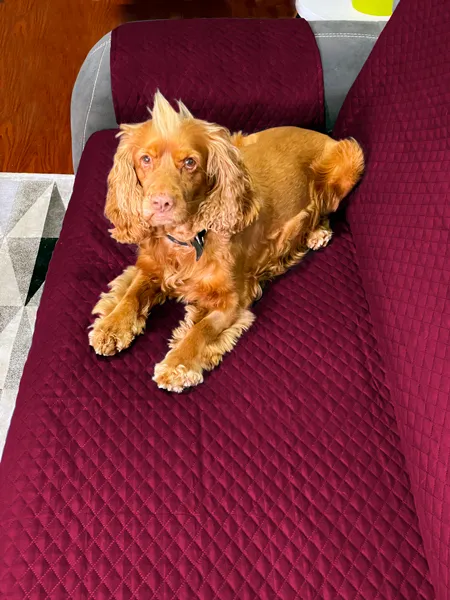 Protector de sof vinotinto/caf doble faz Casa LiLe