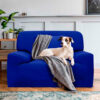 protector de sofa azul rey para perros