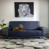 Protector de Sof Azul Noche Doble Faz Casa LiLe