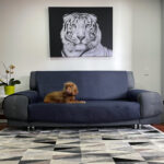 Protector de Sofá Azul Noche Doble Faz