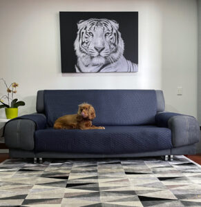 Protector de Sofá Azul Noche Doble Faz